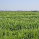 월포마을 이미지