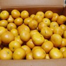 사광농장 이미지