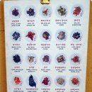 마니산 산채 이미지