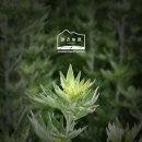 성숙농장 이미지