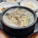 물만난 버섯 이미지