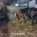 닉스 이미지