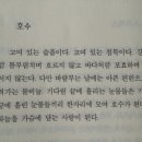 감성사전