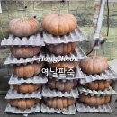 옛날 팥죽 재료 | 강원도 홍천 전통시장 백반기행 옛날팥죽 내돈내산 엄마 맛 호박죽