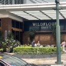 와일드플라워(WildFlour)
