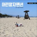 또자펜션 네이버블로그