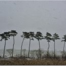 덕지농장 이미지