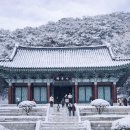 장의중 효자정려각과 현판 | “여기가 국내라고?” 반송 소나무로 둘러싸인 300년 고찰의 설경