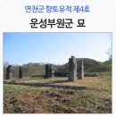 운성부원군묘 이미지