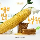 초당 이미지