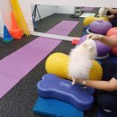 통영동물병원 이미지