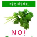 고수 이미지