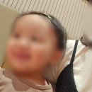 드림플러스한우 이미지