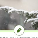 평창교육도서관 이미지