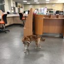 동천동 주민센터 이미지