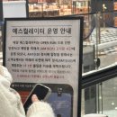 💍W01. 웨딩밴드 구매 후기 | 잠실 롯데 에비뉴엘 에르메스