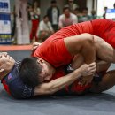 뽀빠이연합의원 이미지