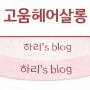 고움헤어살롱 네이버블로그