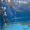 우미횟집 | 금촌횟집 오징어회 맛집 '오징어우미 금촌점' 내돈내산