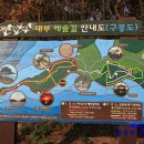 솔밭 1994 이미지