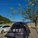 주식회사 웰니스 | 경남 고성 수영장&amp;오션뷰 웰니스 캠핑장 글램핑장 내돈내산 솔직 후기
