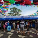 예천공설운동장 | 2016 예천세계곤충엑스포 다녀온후기 (곤충주제관)