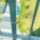 퍼스트크리닝 | 아산 모종금호어울림아이퍼스트 유리창청소｜외창·방충망 청소 후기