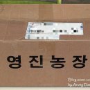 영진2농장 이미지