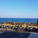 세화스테이 이미지