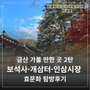 개삼터 | 충남 금산 가볼만한곳 2탄 보석사·개삼터·인삼시장 효문화 탐방 후기