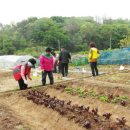 구로-구로-구로-740 이미지