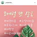 모베럴플러스