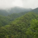 고요한아침 강가 이미지