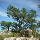 천등산주유소 이미지