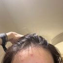 MG HOTEL(엠지호텔) | 인천에서 필라델피아 경유해서 칸쿤 간사람 나밖에 없을걸 - 칸쿤 TRS코랄 호텔 가격, 10월초 칸쿤 날씨