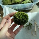 스튜디오콩테 이미지