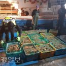 동해-단속-12 이미지