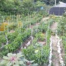 순환농장 이미지