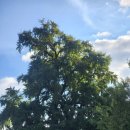 곽재우장군문화공원 이미지