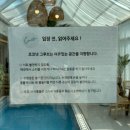 코코넛그루브 | [강원/속초] 속초 카페 속초 휴양지 카페 코코넛그루브 후기