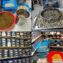 꽃피는봄한의원 이미지