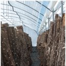 다대농장 이미지