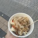 리플리히네일
