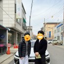 유정담배