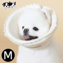 도그니엘 이미지