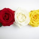 미예담산부인과의원 이미지