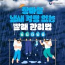 빨래나라 이미지