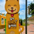 대구 달서구 강아지 운동장 달서 반려견 놀이터, 이대로 괜찮을까?