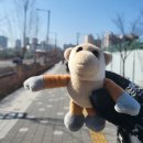 ㅊㅊ[춘천-청춘] 이미지