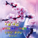 2024년 1월 4일 목요일/산같은 마음으로 이미지